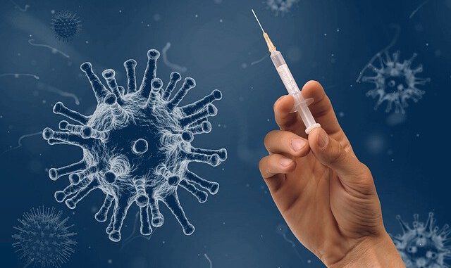 Syringe Hand Virus Injection  - WiR_Pixs / Pixabay