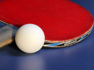 Table Tennis Ping Pong Ball Game  - HeungSoon / Pixabay