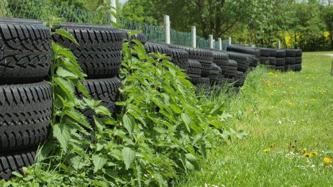 Tire Rubber Green Car Tire Black  - gefrorene_wand / Pixabay