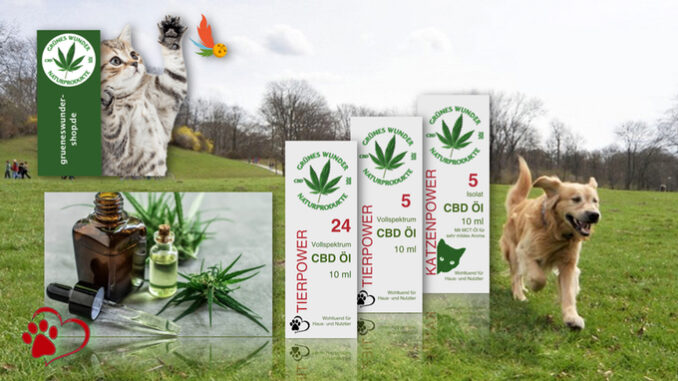 titelbild-tierpower