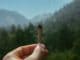person holding brown cigarette stick