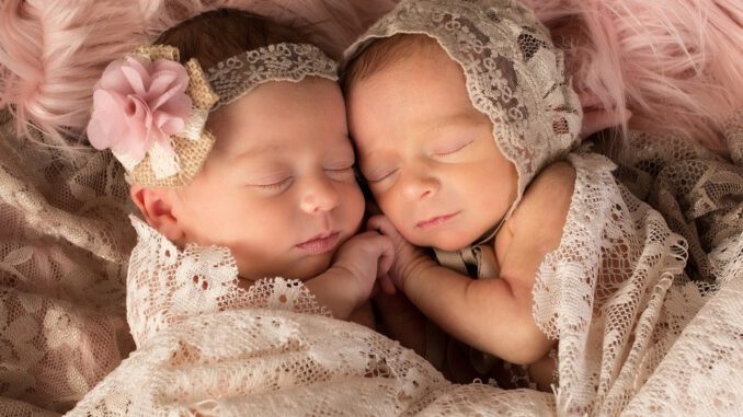 Twins Newborns Girls Twins Newborns Girls - ChristineMatrangos / Pixabay