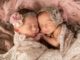 Twins Newborns Girls  - ChristineMatrangos / Pixabay