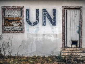 Un United Nations Buffer Zone Army  - dimitrisvetsikas1969 / Pixabay