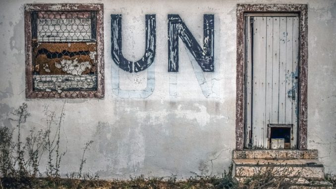 Un United Nations Buffer Zone Army  - dimitrisvetsikas1969 / Pixabay