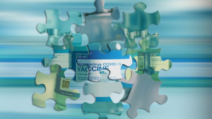 Vaccine Puzzle Healing Medical  - geralt / Pixabay