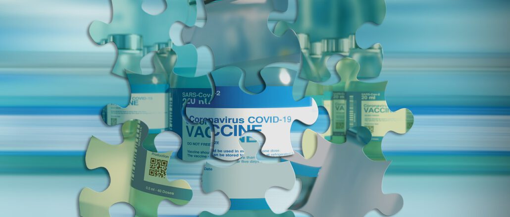 Vaccine Puzzle Healing Medical  - geralt / Pixabay