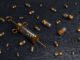 Vaccine Syringe Injection  - xresch / Pixabay