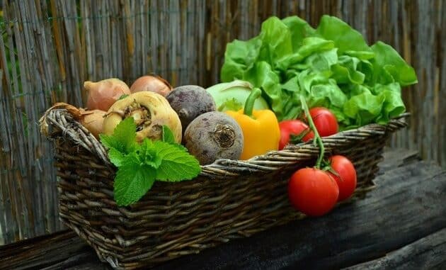 ++ Ökotipp: Umweltbewusste und klimaschonende Ernährung ++