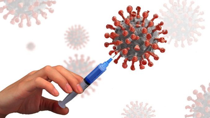 Virus Bacteria Vaccine Vaccination  - geralt / Pixabay