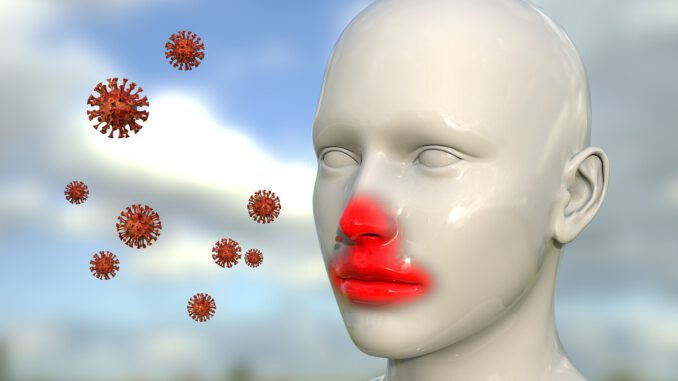 Virus Coronavirus Infection Virus Coronavirus Infection - Voxelimage / Pixabay
