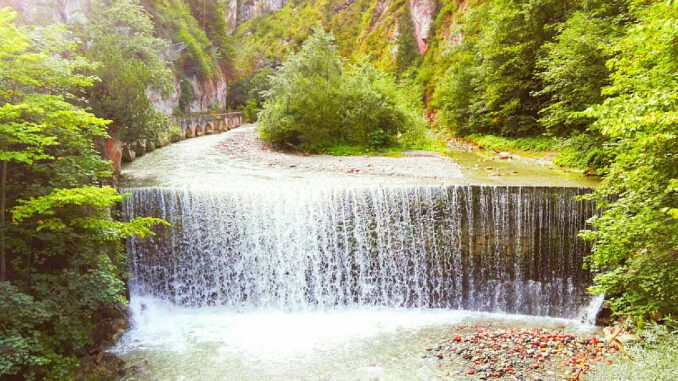 Waterfall River Forest Falls Water  - majuli2010 / Pixabay