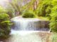 Waterfall River Forest Falls Water  - majuli2010 / Pixabay