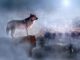 Wolf Night City Foggy Moon Sky  - happypixel19 / Pixabay