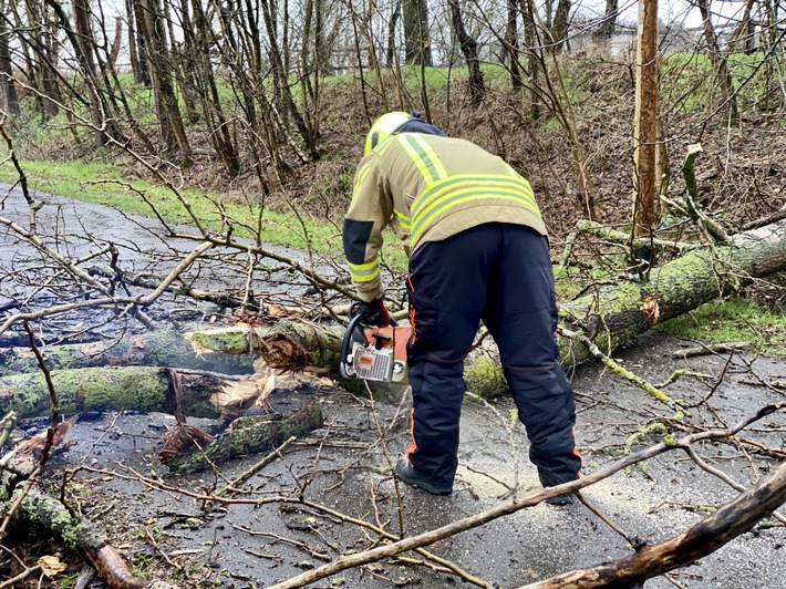 FW Alpen: Baum auf Straße