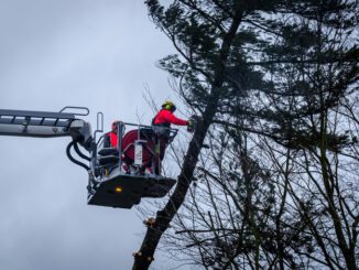 FW Flotwedel: Baum droht auf Haus zu stürzen / Ortsfeuerwehren Bockelskamp und Wathlingen beseitigen Gefahrenstelle