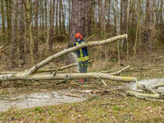 FW Flotwedel: Freiwillige Feuerwehr Flotwedel bei mehreren Einsätzen in Folge des Sturmtiefs &quot;Nadia&quot; gefordert