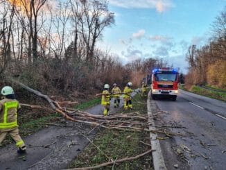 FW Grevenbroich: Sturmtief Zeynep hält Feuerwehr Grevenbroich im Dauereinsatz / Fassadenteile am Einkaufzentrum Montanushof abgestürzt - Tor an Bauernhof aus Angel gerissen - Zahlreiche Bäume umgekippt