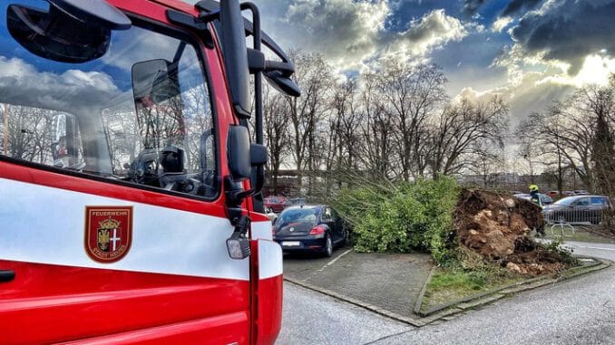 FW-NE: Zwischenbilanz Sturmtief | Sechs sturmbedingte Einsätze