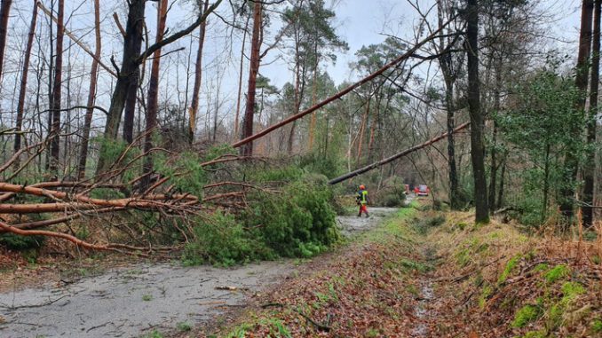 FW-Schermbeck: Sturmschaden auf dem Meesenmühlenweg