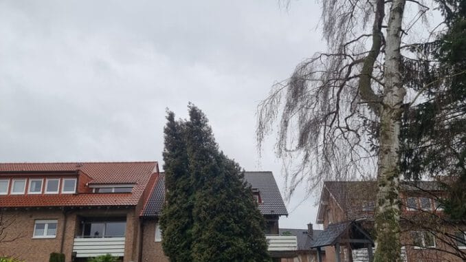 FW-WRN: TH_1 - LZ1 - 12 m Birke droht in Wohnhaus zu stürzen