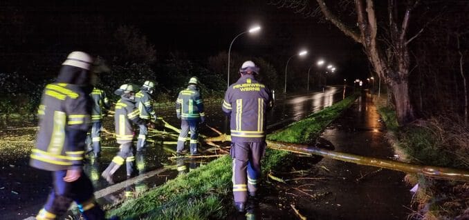 FW-WRN: TH_1 - LZ1 - Ast auf Straße