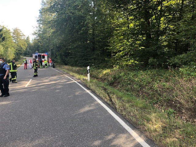 POL-PDPS: Motorradfahrer gestürzt